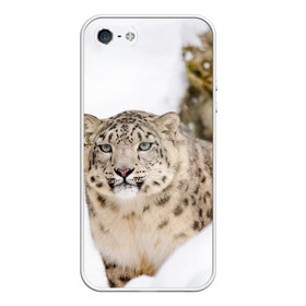 Чехол для iPhone 5/5S матовый с принтом Ирбис в Екатеринбурге, Силикон | Область печати: задняя сторона чехла, без боковых панелей | snow leopard | барс | барсы | животное | животные | звери | зверь | зима | зимы | ирбис | киски | кот | коты | кошачьи | кошка | кошки | мохнатые | мохнатый | пятнистые | пятнистый | снег | снежный