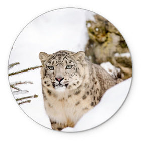 Коврик для мышки круглый с принтом Ирбис в Екатеринбурге, резина и полиэстер | круглая форма, изображение наносится на всю лицевую часть | snow leopard | барс | барсы | животное | животные | звери | зверь | зима | зимы | ирбис | киски | кот | коты | кошачьи | кошка | кошки | мохнатые | мохнатый | пятнистые | пятнистый | снег | снежный