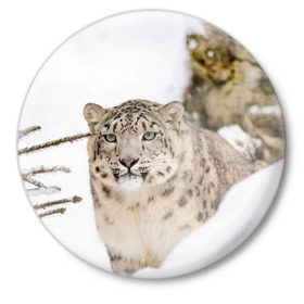 Значок с принтом Ирбис в Екатеринбурге,  металл | круглая форма, металлическая застежка в виде булавки | snow leopard | барс | барсы | животное | животные | звери | зверь | зима | зимы | ирбис | киски | кот | коты | кошачьи | кошка | кошки | мохнатые | мохнатый | пятнистые | пятнистый | снег | снежный