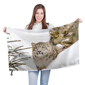 Флаг 3D с принтом Ирбис в Екатеринбурге, 100% полиэстер | плотность ткани — 95 г/м2, размер — 67 х 109 см. Принт наносится с одной стороны | snow leopard | барс | барсы | животное | животные | звери | зверь | зима | зимы | ирбис | киски | кот | коты | кошачьи | кошка | кошки | мохнатые | мохнатый | пятнистые | пятнистый | снег | снежный