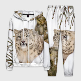 Мужской костюм 3D с принтом Ирбис в Екатеринбурге, 100% полиэстер | Манжеты и пояс оформлены тканевой резинкой, двухслойный капюшон со шнурком для регулировки, карманы спереди | snow leopard | барс | барсы | животное | животные | звери | зверь | зима | зимы | ирбис | киски | кот | коты | кошачьи | кошка | кошки | мохнатые | мохнатый | пятнистые | пятнистый | снег | снежный