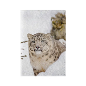 Обложка для паспорта матовая кожа с принтом Ирбис в Екатеринбурге, натуральная матовая кожа | размер 19,3 х 13,7 см; прозрачные пластиковые крепления | snow leopard | барс | барсы | животное | животные | звери | зверь | зима | зимы | ирбис | киски | кот | коты | кошачьи | кошка | кошки | мохнатые | мохнатый | пятнистые | пятнистый | снег | снежный