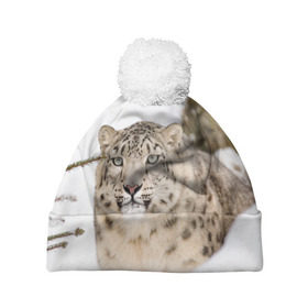 Шапка 3D c помпоном с принтом Ирбис в Екатеринбурге, 100% полиэстер | универсальный размер, печать по всей поверхности изделия | snow leopard | барс | барсы | животное | животные | звери | зверь | зима | зимы | ирбис | киски | кот | коты | кошачьи | кошка | кошки | мохнатые | мохнатый | пятнистые | пятнистый | снег | снежный