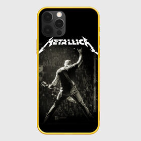 Чехол для iPhone 12 Pro с принтом Metallica в Екатеринбурге, силикон | область печати: задняя сторона чехла, без боковых панелей | heavy metal | metal | metallica | гитара | группы | метал | металлика | музыка | рок | трэш метал | хєви метал