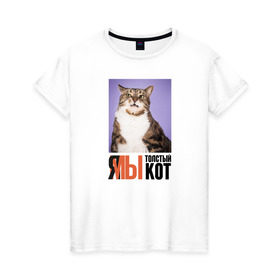 Женская футболка хлопок с принтом Я-МЫ толстый кот в Екатеринбурге, 100% хлопок | прямой крой, круглый вырез горловины, длина до линии бедер, слегка спущенное плечо | викторлетай | кот | котики | мемы | приколы