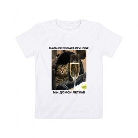 Детская футболка хлопок с принтом Кот-Недолет в Екатеринбурге, 100% хлопок | круглый вырез горловины, полуприлегающий силуэт, длина до линии бедер | брат | брат 2 | котики | коты | мемы | мемы с котами