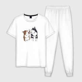 Мужская пижама хлопок с принтом Две Хаски в Екатеринбурге, 100% хлопок | брюки и футболка прямого кроя, без карманов, на брюках мягкая резинка на поясе и по низу штанин
 | Тематика изображения на принте: две хаски | друзья | питомцы | рисунок | собаки | хаски