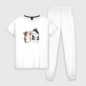 Женская пижама хлопок с принтом Две Хаски в Екатеринбурге, 100% хлопок | брюки и футболка прямого кроя, без карманов, на брюках мягкая резинка на поясе и по низу штанин | две хаски | друзья | питомцы | рисунок | собаки | хаски