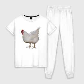 Женская пижама хлопок с принтом Белая курица в Екатеринбурге, 100% хлопок | брюки и футболка прямого кроя, без карманов, на брюках мягкая резинка на поясе и по низу штанин | курица | петух | питух | птица | юмор