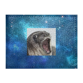 Обложка для студенческого билета с принтом Тюлень  в Екатеринбурге, натуральная кожа | Размер: 11*8 см; Печать на всей внешней стороне | Тематика изображения на принте: животное | забавный | мем | тюлень | я