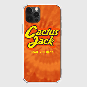 Чехол для iPhone 12 Pro Max с принтом Cactus Jack в Екатеринбурге, Силикон |  | reeses puffs | travis scott | джэк | кактус | трэвис скотт