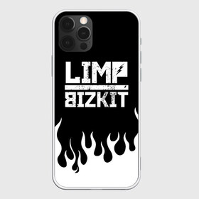 Чехол для iPhone 12 Pro Max с принтом Limp Bizkit в Екатеринбурге, Силикон |  | Тематика изображения на принте: bizkit | limp | limp bizkit | music | rock | бизкиты | лимп бизкит | лимпы | липкие письки | музыка | рок