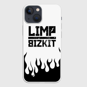 Чехол для iPhone 13 mini с принтом Limp Bizkit в Екатеринбурге,  |  | bizkit | limp | limp bizkit | music | rock | бизкиты | лимп бизкит | лимпы | липкие письки | музыка | рок