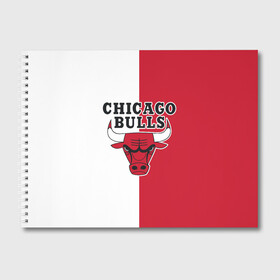 Альбом для рисования с принтом CHICAGO BULLS в Екатеринбурге, 100% бумага
 | матовая бумага, плотность 200 мг. | bulls | chicago | chicago bulls | nba | red bulls | usa | америка | быки | нба | сша | чикаго буллс