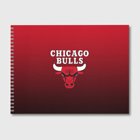 Альбом для рисования с принтом CHICAGO BULLS в Екатеринбурге, 100% бумага
 | матовая бумага, плотность 200 мг. | bulls | chicago | chicago bulls | nba | red bulls | usa | америка | быки | нба | сша | чикаго буллс