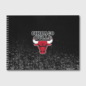 Альбом для рисования с принтом CHICAGO BULLS в Екатеринбурге, 100% бумага
 | матовая бумага, плотность 200 мг. | bulls | chicago | chicago bulls | nba | red bulls | usa | америка | быки | нба | сша | чикаго буллс