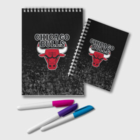 Блокнот с принтом CHICAGO BULLS в Екатеринбурге, 100% бумага | 48 листов, плотность листов — 60 г/м2, плотность картонной обложки — 250 г/м2. Листы скреплены удобной пружинной спиралью. Цвет линий — светло-серый
 | Тематика изображения на принте: bulls | chicago | chicago bulls | nba | red bulls | usa | америка | быки | нба | сша | чикаго буллс