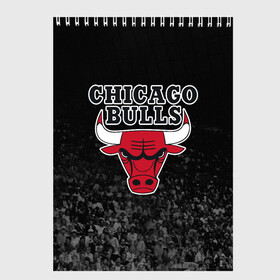 Скетчбук с принтом CHICAGO BULLS в Екатеринбурге, 100% бумага
 | 48 листов, плотность листов — 100 г/м2, плотность картонной обложки — 250 г/м2. Листы скреплены сверху удобной пружинной спиралью | Тематика изображения на принте: bulls | chicago | chicago bulls | nba | red bulls | usa | америка | быки | нба | сша | чикаго буллс