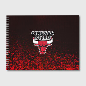 Альбом для рисования с принтом CHICAGO BULLS в Екатеринбурге, 100% бумага
 | матовая бумага, плотность 200 мг. | bulls | chicago | chicago bulls | nba | red bulls | usa | америка | быки | нба | сша | чикаго буллс