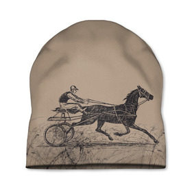 Шапка 3D с принтом лошадь с колесницей в Екатеринбурге, 100% полиэстер | универсальный размер, печать по всей поверхности изделия | животные | конный спорт | конь | лошадь | наездник | спорт