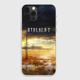 Чехол для iPhone 12 Pro Max с принтом STALKER 2 в Екатеринбурге, Силикон |  | Тематика изображения на принте: s.t.a.l.k.e.r. | stalker | арт | зона | зона отчуждения | игра | мутант | пейзаж | припять | радиация | радиоктивный фон | сталкер | чернобыль