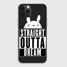 Чехол для iPhone 12 Pro Max с принтом Тоторо Straight outta dream в Екатеринбурге, Силикон |  | Тематика изображения на принте: anime | hayao miyazaki | japanese | meme | miyazaki | piano | studio ghibli | tokyo | totoro | гибли | котобус | мой | сосед | сусуватари | тонари | тоторо | хаяо миядзаки