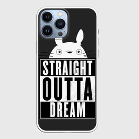 Чехол для iPhone 13 Pro Max с принтом Тоторо Straight outta dream в Екатеринбурге,  |  | Тематика изображения на принте: anime | hayao miyazaki | japanese | meme | miyazaki | piano | studio ghibli | tokyo | totoro | гибли | котобус | мой | сосед | сусуватари | тонари | тоторо | хаяо миядзаки