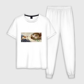 Мужская пижама хлопок с принтом Сотворение Адама и кот в Екатеринбурге, 100% хлопок | брюки и футболка прямого кроя, без карманов, на брюках мягкая резинка на поясе и по низу штанин
 | mem | memes | весело | искусство | кот | котик | мем | прикол | сотворение адама