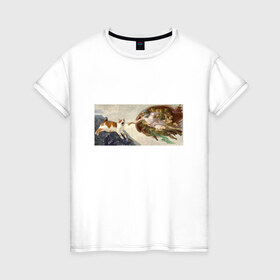 Женская футболка хлопок с принтом Сотворение Адама и кот в Екатеринбурге, 100% хлопок | прямой крой, круглый вырез горловины, длина до линии бедер, слегка спущенное плечо | mem | memes | весело | искусство | кот | котик | мем | прикол | сотворение адама