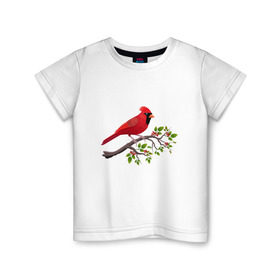 Детская футболка хлопок с принтом Красный кардинал в Екатеринбурге, 100% хлопок | круглый вырез горловины, полуприлегающий силуэт, длина до линии бедер | cardinalis cardinalis | красный кардинал | новогодняя птица | птица | птичка | рождественская птица