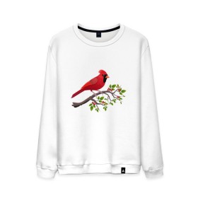 Мужской свитшот хлопок с принтом Красный кардинал в Екатеринбурге, 100% хлопок |  | cardinalis cardinalis | красный кардинал | новогодняя птица | птица | птичка | рождественская птица