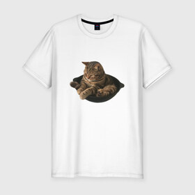 Мужская футболка хлопок Slim с принтом Кот в сковороде в Екатеринбурге, 92% хлопок, 8% лайкра | приталенный силуэт, круглый вырез ворота, длина до линии бедра, короткий рукав | mem | кот | кот сидит в сковороде | котик | мем | прикол | смешной