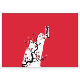 Поздравительная открытка с принтом Сакура Айкидо в Екатеринбурге, 100% бумага | плотность бумаги 280 г/м2, матовая, на обратной стороне линовка и место для марки
 | aikido | аикидо | айкидо | восточные единоборства | единоборства | морихей уэсиба