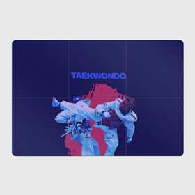 Магнитный плакат 3Х2 с принтом Taekwondo в Екатеринбурге, Полимерный материал с магнитным слоем | 6 деталей размером 9*9 см | Тематика изображения на принте: taekwondo | восточные единоборства | единоборства | теквондо | тхэквондо | тэквондо
