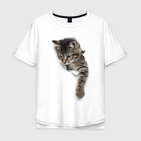 Мужская футболка хлопок Oversize с принтом 3д кот в Екатеринбурге, 100% хлопок | свободный крой, круглый ворот, “спинка” длиннее передней части | 3d | 3д | животные | кот | котик | кошка | прикольная картинка