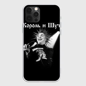 Чехол для iPhone 12 Pro Max с принтом Король и Шут + Анархия (спина) в Екатеринбурге, Силикон |  | Тематика изображения на принте: punk | rock | киш | король | король и шут | михаил горшенев | панки | рок | русский рок | шут