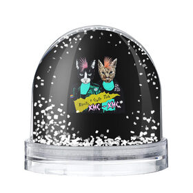Снежный шар с принтом Кис-Кис в Екатеринбурге, Пластик | Изображение внутри шара печатается на глянцевой фотобумаге с двух сторон | punk | punk rock | rock | алина олешева | кис | кис кис | кокос | панк | панк рок | рок | софья сомусева | хмурый