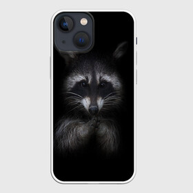 Чехол для iPhone 13 mini с принтом енот в Екатеринбурге,  |  | Тематика изображения на принте: енот | енот хайп | еноты | животные | лайв тудей