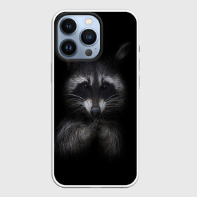 Чехол для iPhone 13 Pro с принтом енот в Екатеринбурге,  |  | енот | енот хайп | еноты | животные | лайв тудей