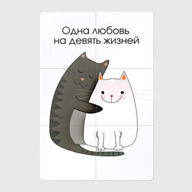 Магнитный плакат 2Х3 с принтом Любовь на девять жизней в Екатеринбурге, Полимерный материал с магнитным слоем | 6 деталей размером 9*9 см | 14 февраля | 8 марта | валентинов день | верность | влюбленность | влюбленные | вместе навсегда | двое | девичник | девушке | кот | коты | кошка | кошки | любимая | любимый | люблю | люблю тебя | мы с тобо