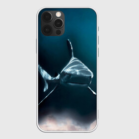Чехол для iPhone 12 Pro Max с принтом акула в Екатеринбурге, Силикон |  | fish | sea | shark | акула | водоросли | майки с морем | майки с прикольными рыбками | майки с рыбками | море | морская рыба | морские картинки | морские фото | прикольные рыбки | рыба | рыбка | хищная рыба