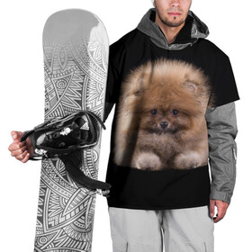 Накидка на куртку 3D с принтом Рыжий Шпиц в Екатеринбурге, 100% полиэстер |  | Тематика изображения на принте: детская | женская | купить | мужская | пес | рисунки щенков | рыжий | с принтом | с собаками | с собакой | со шпицами | со щенком | собака | собаки | шпиц | щенок