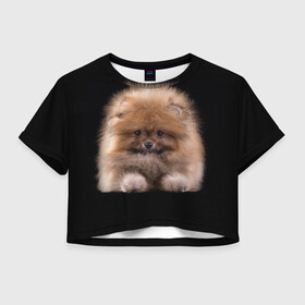 Женская футболка Crop-top 3D с принтом Рыжий Шпиц в Екатеринбурге, 100% полиэстер | круглая горловина, длина футболки до линии талии, рукава с отворотами | Тематика изображения на принте: детская | женская | купить | мужская | пес | рисунки щенков | рыжий | с принтом | с собаками | с собакой | со шпицами | со щенком | собака | собаки | шпиц | щенок