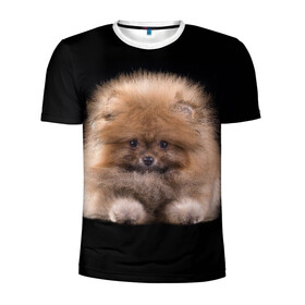 Мужская футболка 3D спортивная с принтом Рыжий Шпиц в Екатеринбурге, 100% полиэстер с улучшенными характеристиками | приталенный силуэт, круглая горловина, широкие плечи, сужается к линии бедра | детская | женская | купить | мужская | пес | рисунки щенков | рыжий | с принтом | с собаками | с собакой | со шпицами | со щенком | собака | собаки | шпиц | щенок