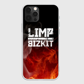 Чехол для iPhone 12 Pro Max с принтом LIMP BIZKIT в Екатеринбурге, Силикон |  | Тематика изображения на принте: dj lethal | limp bizkit | rock | джон отто | лимп бизкит | майк смит | музыка | роб уотерс | рок | сэм риверс | терри бальзамо | уэс борланд | фред дёрст