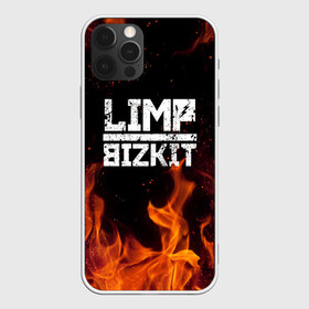 Чехол для iPhone 12 Pro Max с принтом LIMP BIZKIT в Екатеринбурге, Силикон |  | Тематика изображения на принте: dj lethal | limp bizkit | rock | джон отто | лимп бизкит | майк смит | музыка | роб уотерс | рок | сэм риверс | терри бальзамо | уэс борланд | фред дёрст