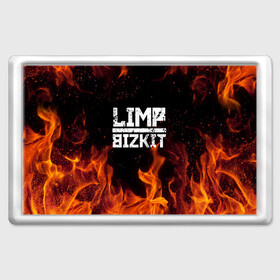 Магнит 45*70 с принтом LIMP BIZKIT в Екатеринбурге, Пластик | Размер: 78*52 мм; Размер печати: 70*45 | Тематика изображения на принте: dj lethal | limp bizkit | rock | джон отто | лимп бизкит | майк смит | музыка | роб уотерс | рок | сэм риверс | терри бальзамо | уэс борланд | фред дёрст