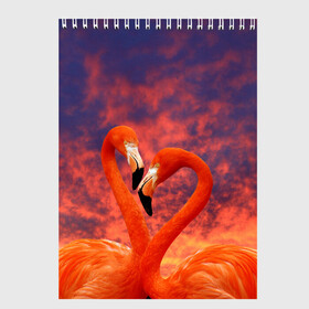 Скетчбук с принтом Flamingo Love в Екатеринбурге, 100% бумага
 | 48 листов, плотность листов — 100 г/м2, плотность картонной обложки — 250 г/м2. Листы скреплены сверху удобной пружинной спиралью | 14 февраля | 8 марта | валентинов день | верность | влюбленность | влюбленные | вместе | вместе навсегда | девушке | женат | женский день | женский праздник | закат | замужем | кружка | любимая