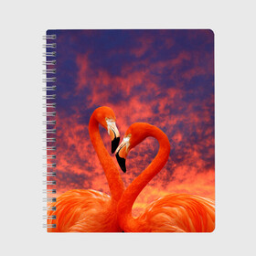 Тетрадь с принтом Flamingo Love в Екатеринбурге, 100% бумага | 48 листов, плотность листов — 60 г/м2, плотность картонной обложки — 250 г/м2. Листы скреплены сбоку удобной пружинной спиралью. Уголки страниц и обложки скругленные. Цвет линий — светло-серый
 | Тематика изображения на принте: 14 февраля | 8 марта | валентинов день | верность | влюбленность | влюбленные | вместе | вместе навсегда | девушке | женат | женский день | женский праздник | закат | замужем | кружка | любимая