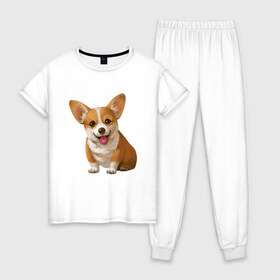 Женская пижама хлопок с принтом Корги в Екатеринбурге, 100% хлопок | брюки и футболка прямого кроя, без карманов, на брюках мягкая резинка на поясе и по низу штанин | dogs | style | животные | корги | милые собаки | мимимишность | минимализм | модные | подарок | прикольные картинки | пушистая собака | собака | собаки | стиль | щенки